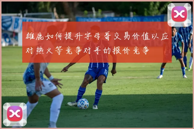 雄鹿如何提升字母哥交易价值以应对热火等竞争对手的报价竞争